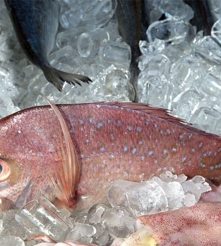 seafood industries